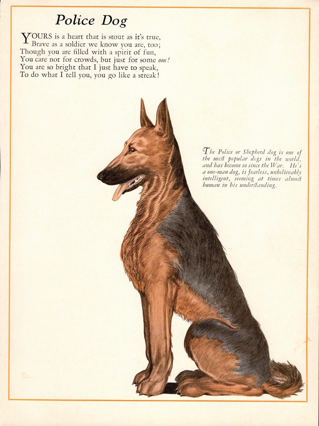 First German Shepherds Max Von Stephanitz Max Von Stephanitz