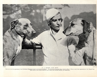 1930's Antique RHODESIAN RIDGEBACK Dog Print Pretty Dogs with Pretty Woman Birthday Gift Idea 12944k