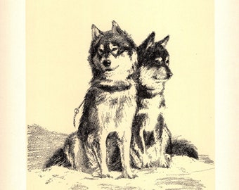 Antique Siberian Husky Print Vintage 1933 Cleanthe Carr Sled Dog Illustration Gallery Wall Art Birthday Gift 6848u