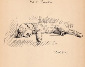 Lámina antigua de caniche de 1940 para decoración de pared. Ilustración vintage de Lucy Dawson. Arte para galería de pared. Regalo ideal para cumpleaños o para un amigo. 13339x