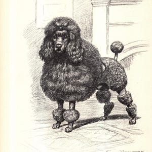 May include: A set of three ceramic mugs with a speckled, matte finish. Each mug is in a different colour: light blue, cream, and grey. The mugs have a simple, modern design with a rounded shape and a comfortable handle.