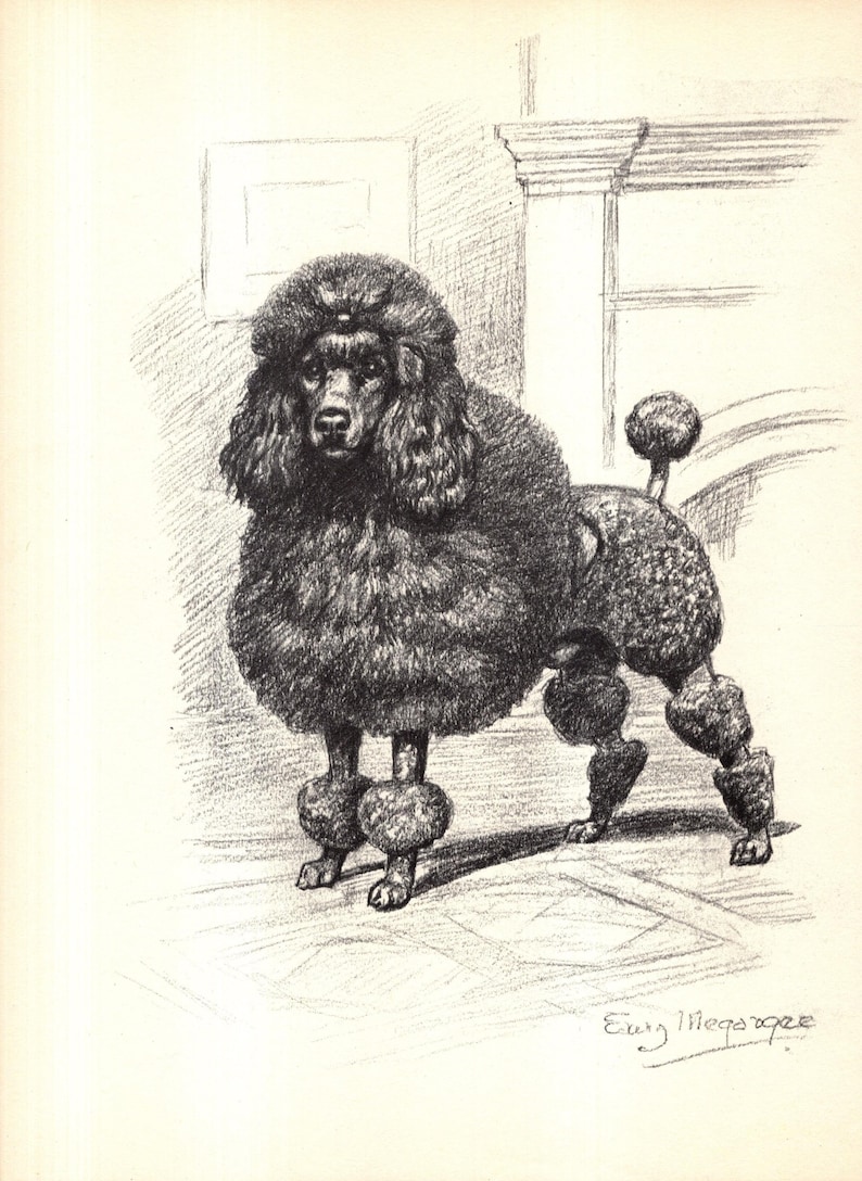 May include: A set of three ceramic mugs with a speckled, matte finish. Each mug is in a different colour: light blue, cream, and grey. The mugs have a simple, modern design with a rounded shape and a comfortable handle.