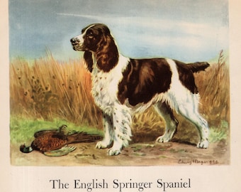 1942 Antique English SPRINGER SPANIEL Dog Print Vintage Edwin Megargee Hunting Dog Art Print Birthday Gift Wall Art Home Decor 12766z