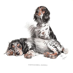 Cecil Aldin Springer Spaniel Print Gundog Hunting Dog Wall Art Decor ...