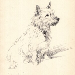 Vintage Cairn Terrier Print Wall Art Decor Lucy Dawson Cairn Terrier Illustration Gallery Wall Art Gift for Birthday Friend 11127a