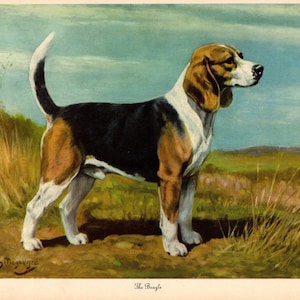 1942 Antique Beagle Print Wall Art Decor Vintage Edwin Megargee Beagle Illustration Gallery Wall Art Birthday Gift Library Decor 13314s