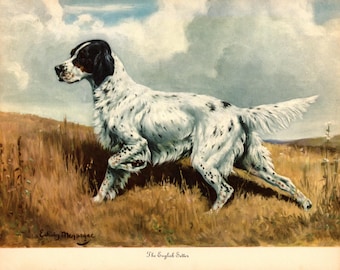 1942 Antique English Setter Print Wall Art Decor Vintage Edwin Megargee Hunting Dog Gundog Art Print Birthday Gift Home Library Decor 13872u