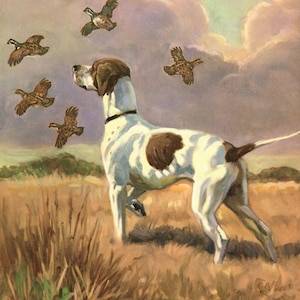 May include: A white and brown hunting dog stands in a field of tall grass, looking up at a flock of five brown and white quail flying in a cloudy sky. The dog is pointing its nose upwards, as if it is about to flush the birds.