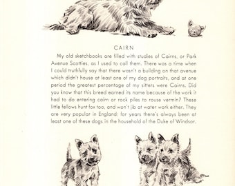 1940s Vintage Cairn Terrier Print Wall Art Decor Cairn Terrier Illustration Morgan Dennis Dog Art Kids Room & Childrens Decor 13185m