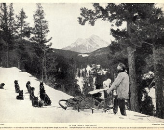 1930's Antique Sled Dog Sledding Print Banff Rocky Mountain Sled Dog Sledding Wall Decor Birthday Gift Idea 7197r