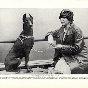 1930&#39;s Fun Doberman Print Gallery Wall Decor Aristocrat Doberman with Author Elizabeth Craig Print Birthday Gift Idea 10943h