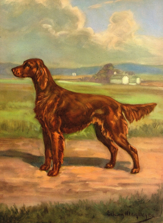 Vintage Irish Setter Print Wall Art Decor Edwin Megargee Irish Setter Illustration Hunting Lodge Cabin Decor Gift Idea 12355
