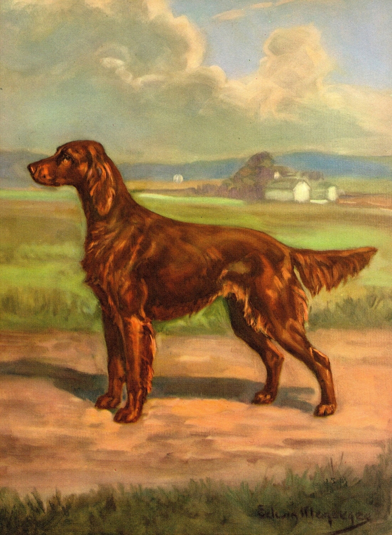 Vintage Irish Setter Print Wall Art Decor Edwin Megargee Irish Setter Illustration Hunting Lodge Cabin Decor Gift Idea 12355 image 1