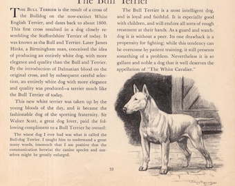 Antik Bullterriertryck Vintage 1942 Edwin Megargee Bullterrier Konstillustration Heminredning Födelsedagspresentidé 11451c