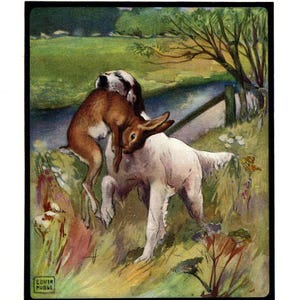 Antique English Setter Print Gallery Wall Art 1910 Edwin Noble English Setter and Rabbit Art Illustration Home Decor Gift 10306a