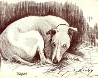 Lámina decorativa de pared con estampado antiguo de Whippet de la década de 1930. Ilustración de perro Whippet de Nina Scott Langley. Arte para galería de pared. Regalo de cumpleaños para un amigo. 11363e