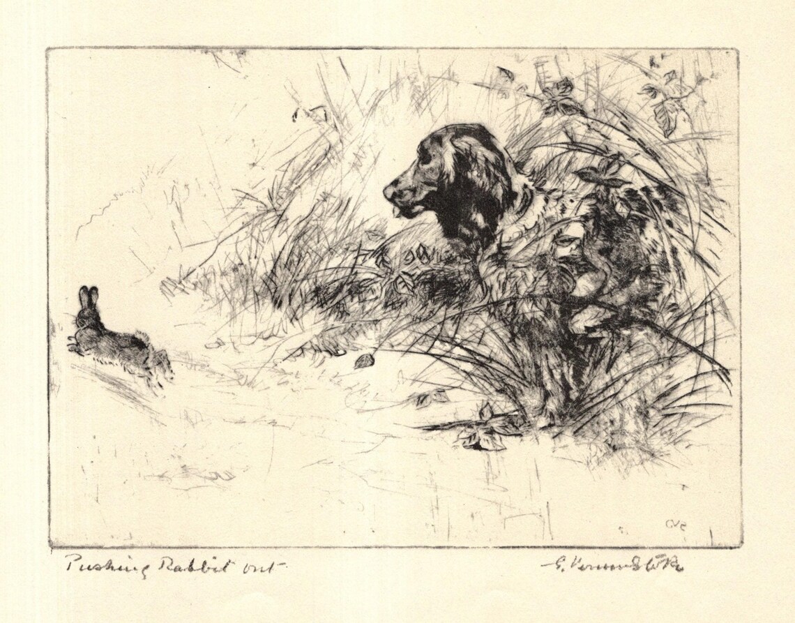 1930 Antique Springer Spaniel Print Hunting Dog Wall Art Decor Sporting ...