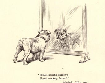 Vintage Bulldog Print Gallery Wall Art Decor 1930s Shakespeare Macbeth Quote Illustration Gift for Birthday Friend 13528a