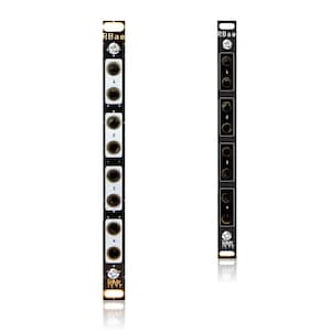 May include: Two black electronic modular synthesizer panels. The panel on the left has four circular input jacks labelled 1 to 4. The panel on the right has four circular input jacks. Both panels have the text "P.Bae" and "RAR" printed on them.