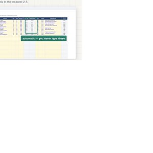 Pode incluir: Uma planilha digital intitulada Program Builder com colunas para cliente, fase, dia, exerc&iacute;cio, s&eacute;ries, repeti&ccedil;&otilde;es e intensidade. Uma caixa verde destaca uma coluna de peso alvo com o texto automatic &mdash; you never type these.