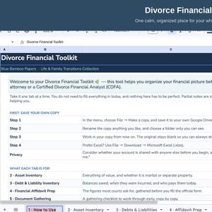 Può includere: Un foglio di calcolo digitale intitolato Divorce Financial Toolkit con un'intestazione blu scuro. Il documento include istruzioni su come salvare una copia, privacy e un elenco di schede per l'inventario delle attività, delle passività e la preparazione di dichiarazioni finanziarie.