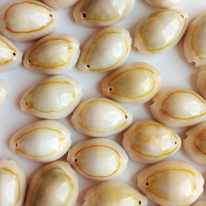 Puede incluir: Una colección de conchas de cauri lisas de color blanco roto esparcidas sobre una superficie lisa. Cada concha presenta una abertura ovalada alargada delineada con un anillo de tono amarillo o naranja, y un pequeño orificio en un extremo.