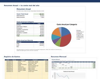 Pianificatore di gas per mascotte / Plantilla Google Sheets Excel / Controllo di gas perro gato / Presupuesto mensile e annuale
