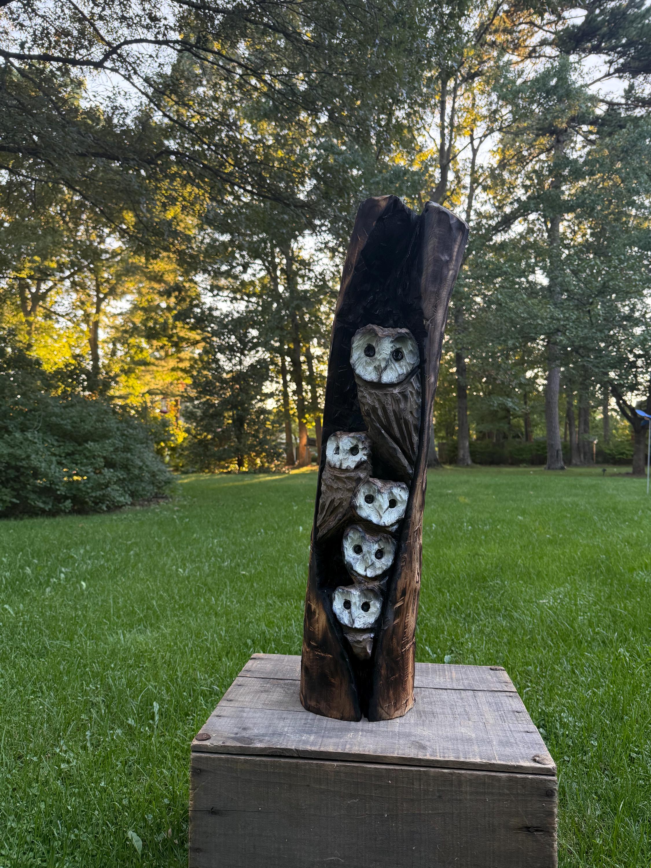 Large owl family in a tree