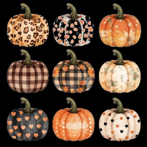 Pode incluir: Uma coleção de nove abóboras decorativas com vários padrões, incluindo estampa de leopardo, xadrez preto e branco, desenhos florais e motivos de corações em tons de laranja, preto, branco e castanho com caules verdes.