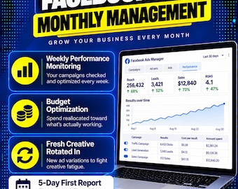 Facebook Ads Monthly Management | Ongoing Meta Ads Optimization, Budget Adjustments, Performance Reporting (Digital Service)
