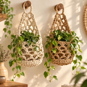 May include: Two macrame plant hangers, one in cream and one in tan, each featuring a knotted net design. These hanging holders contain potted green pothos plants with trailing vines, suspended from circular wooden wall hooks.