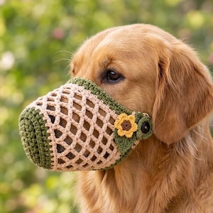 May include: A golden dog wearing a crocheted muzzle featuring a beige lattice pattern, a solid olive green border, and a small yellow sunflower appliqué with a dark brown center attached to the side near a black button fastener.