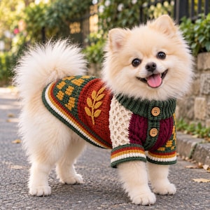 May include: A small, fluffy, cream-colored dog wearing a multi-colored, textured knit sweater. The sweater features a dark green ribbed collar with two wooden buttons, a cream-colored open-knit pattern on the sleeves, and a dark red body.