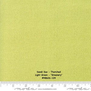 THATCHED - DANDI DUO - #48626-124 - Greenery - Light Green - Blender - by Robin Pickens for Moda - Thatched-Basic-reads solid but w/Movement