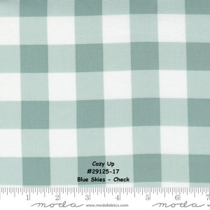 May include: A white and light blue gingham fabric with the text "Cozy Up #29125-17 Blue Skies - Check" and the words "moda" on a ruler.