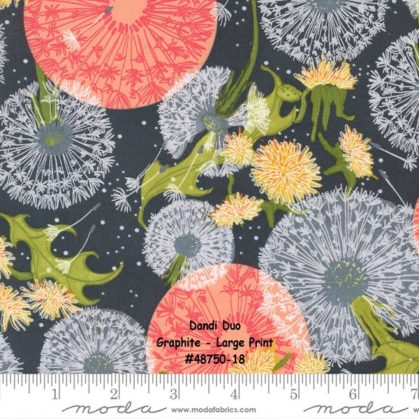 DANDI DUO - #48750-18 - Graphite - Dk. Gray - by Robin Pickens for Moda - Dandelion Seed Floral - Thatched - Pastels