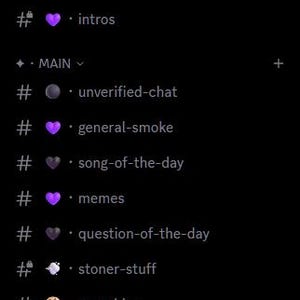 May include: A digital interface showing a server list titled Amethyst Smoke with categories Important, Main, and Selfies. The list includes text channels with icons like a purple circle, heart, trophy, cake, cloud, cookie, leaf, dog, and camera.