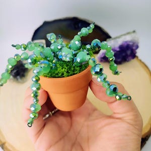 May include: A miniature terracotta pot filled with green moss and adorned with beaded, green, plant-like strands. The beads have an iridescent quality, and the pot is held in a hand.