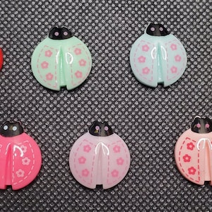 Mini Resin Colorful Ladybugs Cover Minder