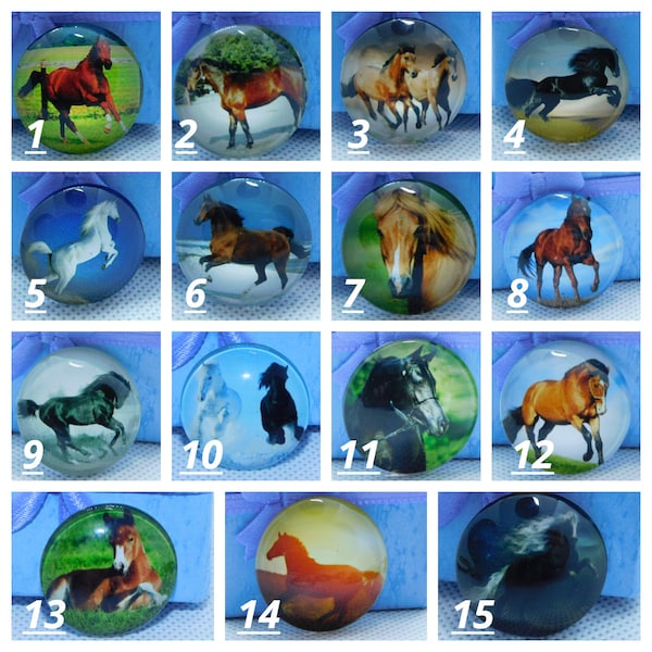 Beautiful Horse Glass Cover Minders