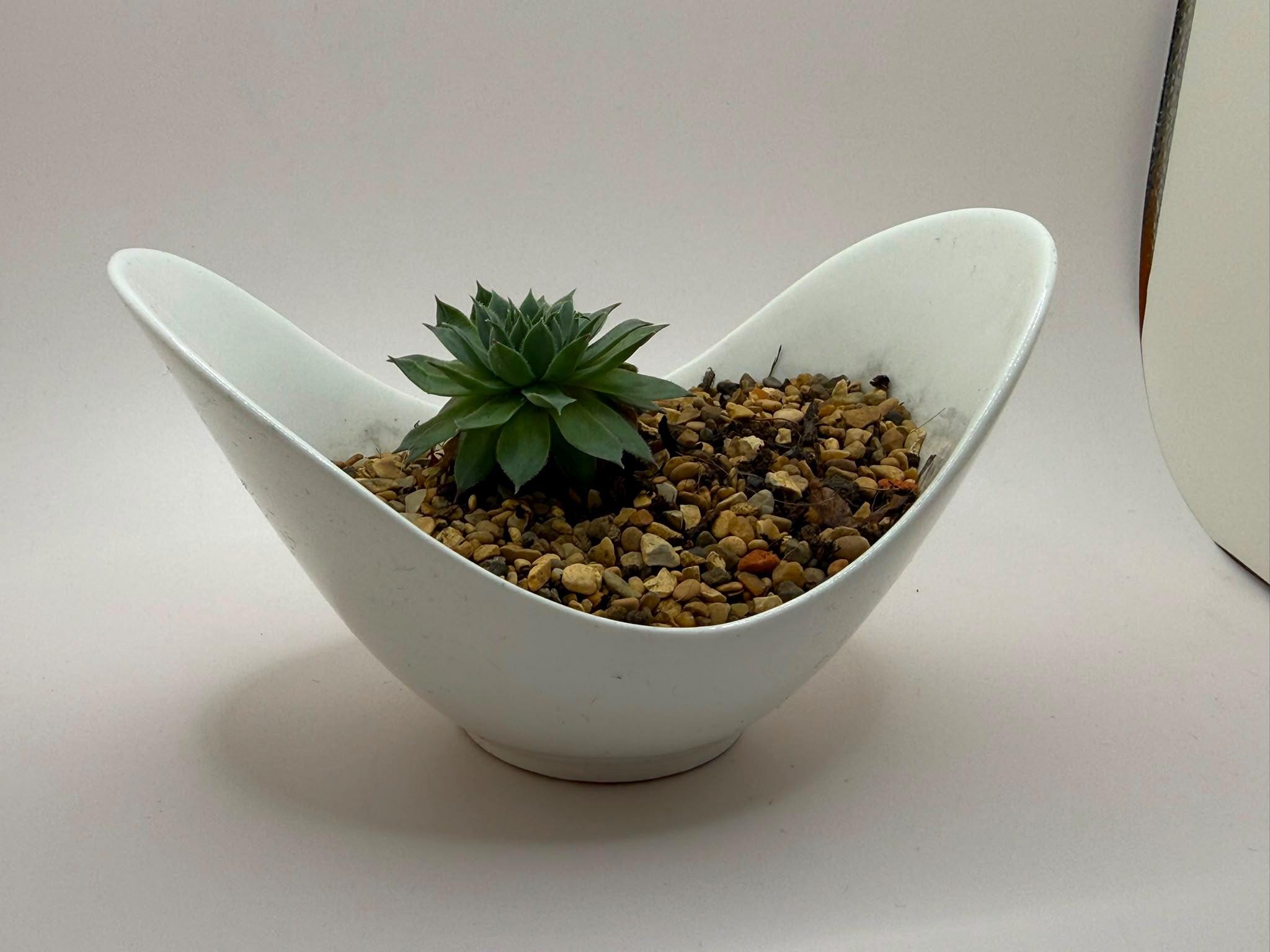 鳥の形をしたプランター - Etsy 日本