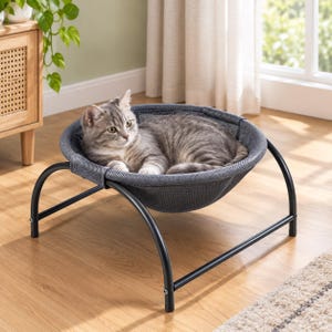 May include: A grey tabby cat resting in a circular, elevated pet bed. The bed features a dark grey, textured mesh fabric suspended within a black metal frame with four curved legs, providing a stable, raised sleeping surface for the animal.