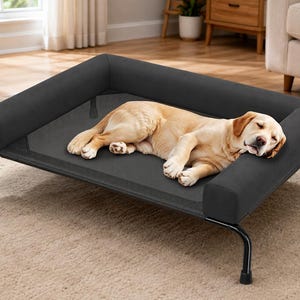 May include: A rectangular elevated pet bed featuring a black mesh sleeping surface and padded black bolsters on three sides. The bed is supported by a black metal frame with four legs, and a light brown dog is sleeping on the center of the mesh.