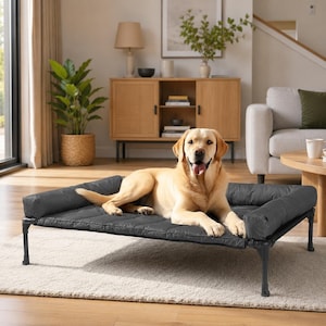 May include: A raised rectangular pet bed with a black metal frame and a dark gray quilted fabric surface. The bed features padded bolsters on three sides and is elevated on four sturdy legs, providing a comfortable resting space for a large dog.