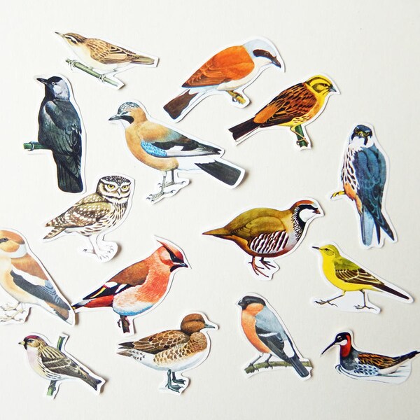 Mini Birds - Paper Ephemera Craft Pack / Collage / Snail Mail / Scrapbooking / Embellishments PE215