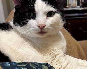 100% Pure Catnip + Silvervine Cat Kicker