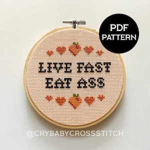 Live Fast Eat Ass cross stitch PDF/pattern