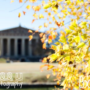 The Parthenon, Landscape, Urban photography, Night, Architecture, Fine art, City