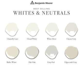 Benjamin Moore Whites & Neutral Paint samples on oversized  12x18 inch Painted Color Boards - SET OF 10 Chantilly lace, white dove