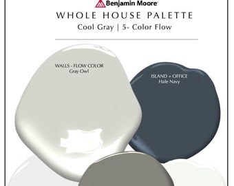 Benjamin Moore Gray Paint Palette Color Samples Painted 18x12 inch Gray Owl Chantilly Lace Decorators White Hale Navy Chelsea Gray